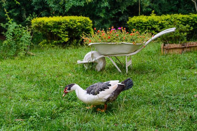 Pousada Luar do Sertão Valenca  Luaran gambar